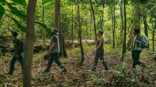 Reserva Mamirauá Pousada Uacari Amazônia