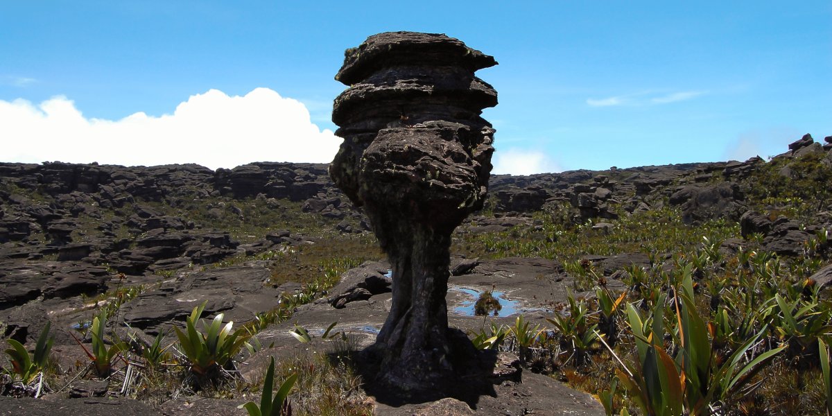 Expedição Monte Roraima - Circuito Místico Catedral
