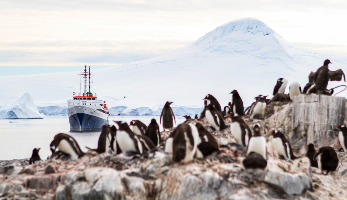 Antártica