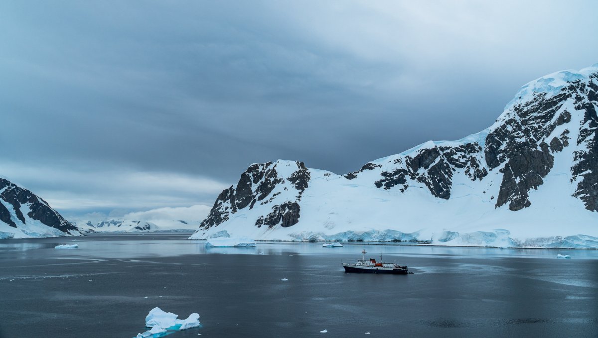 Cruzeiro para Antártica