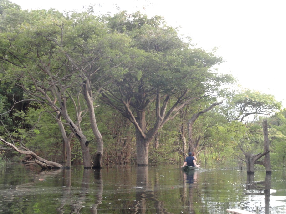 Amazônia - Juma Amazon Lodge