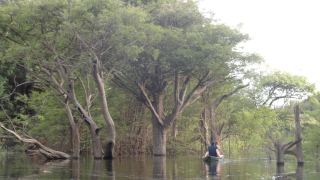 Amazônia - Juma Amazon Lodge