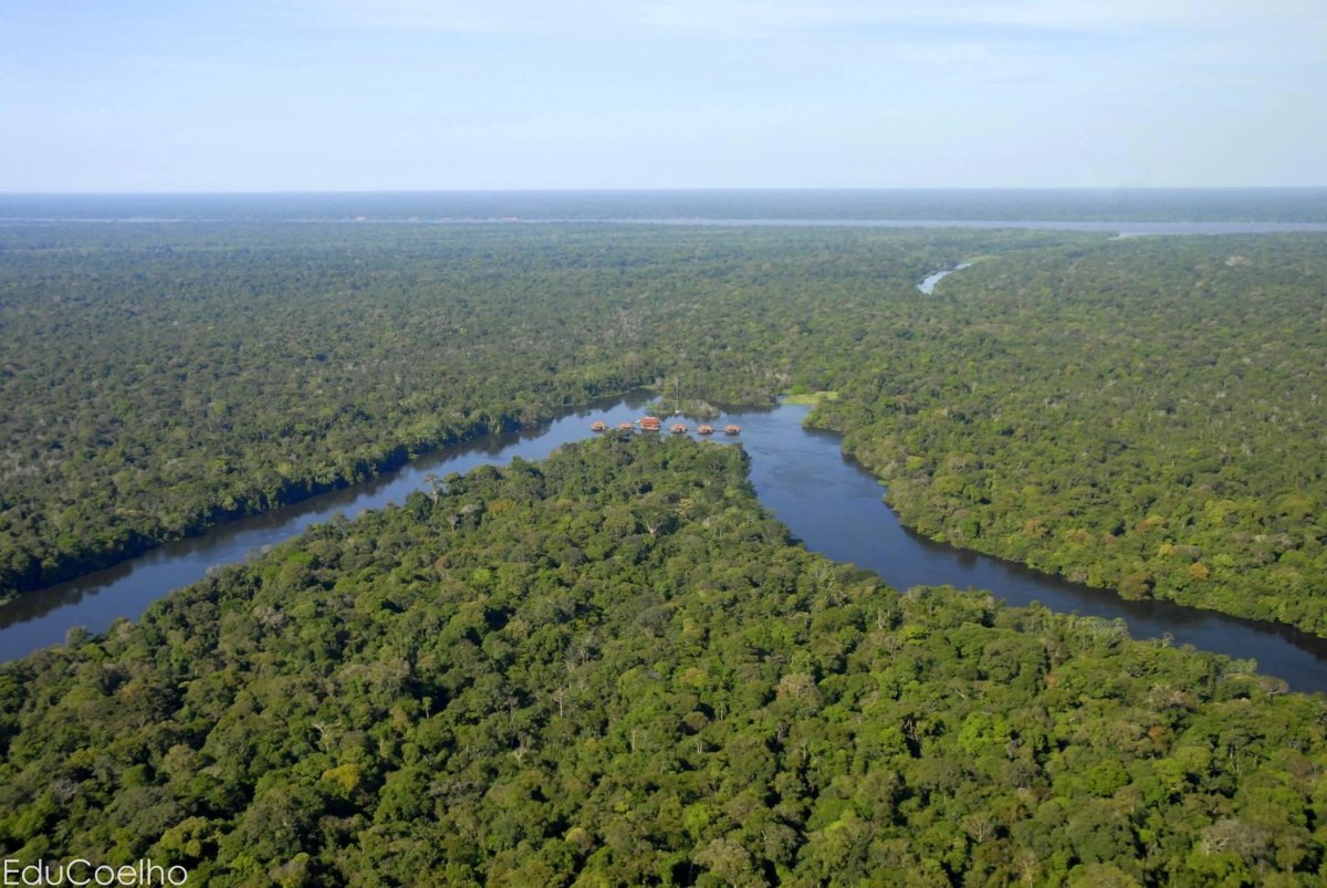 Amazônia