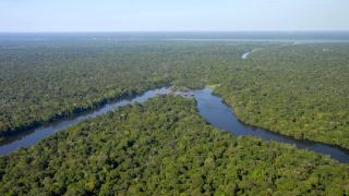 Reserva Mamirauá Pousada Uacari Amazônia