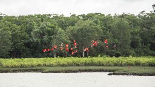 Ilha do Marajó Pará